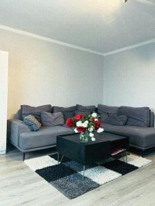 Mērsraga Miera Osta