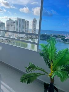 Apartamento piso 12 y 17 Welch