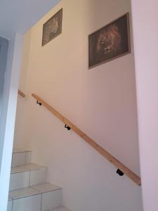 La vie est une aventure