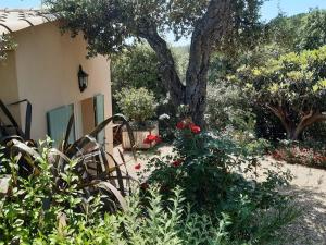 Villas Nice air-conditioned house with flower garden : photos des chambres