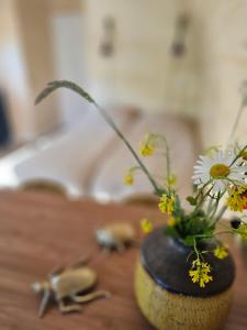 Tiny House De Spjocht