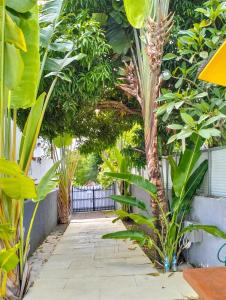 Holiday Apartment in Grand Baie