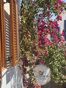 Pangea Sığacık Suite Hotel & Bistro