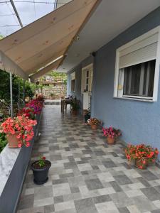 Rajan Shehaj Apartment