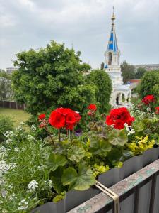 Nature Love Apartment