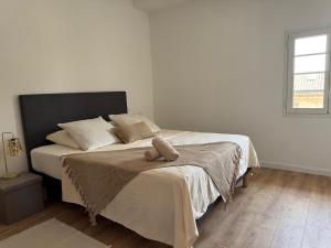 Appartements Splendide appartement : photos des chambres