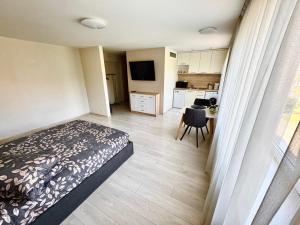 Daugavpils Central apartment ARELIJA