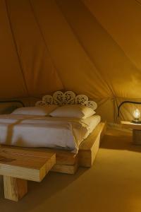 Desert Diamond Private Camp