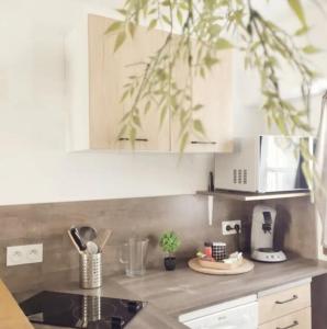 Appartements O p'tit 44 Apt + terrasse dans le vieux Honfleur : photos des chambres