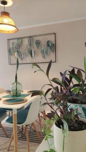 CasaNativa 7Sur