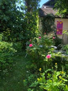 B&B / Chambres d'hotes Noctuelle : photos des chambres