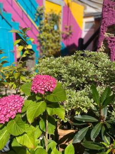 B&B / Chambres d'hotes L-Inattendue - Chambre Cosy a 150m de la plage : photos des chambres