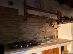 Robinson house Ruža