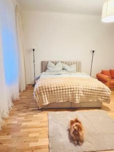 Modern New Eggenberg Top 1b