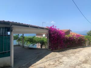 Amfiteatrico Sea View - Oropos - Attiki