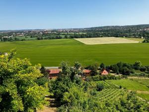 FeWo Weinberghaus "Zum Steinkauz"
