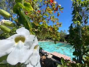 La Puerta de Malacatiupan