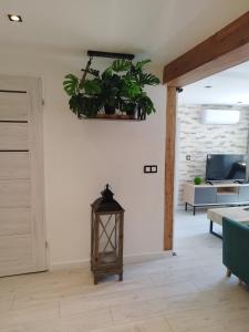 Stara Kamienica pod Białym Łabędziem