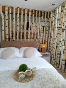 Stara Kamienica pod Białym Łabędziem