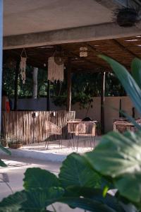 Shamalay - Nomad Experience