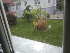 Appartements Appartement agreable et atypique, renove, wifi, terrasse, jardin : photos des chambres