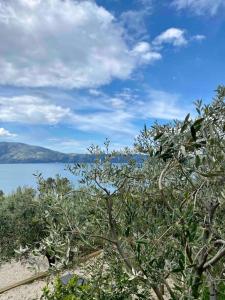 Vila Rama Radhime Ap2