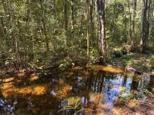 Chacara Refugio das Babaçus