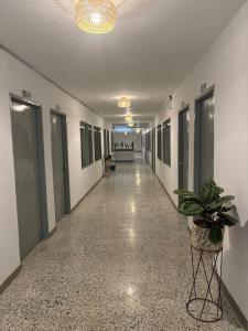 karolina Real Hotel Experience