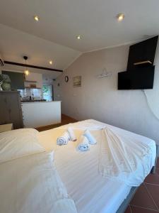 Apartment and Studio Ivan Dolac