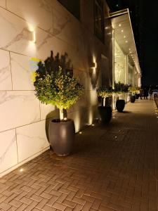 Ajman Family Holiday homes VIP Two rooms, a large hall and a fully equipped kitchen that can accommodate 7 people and children