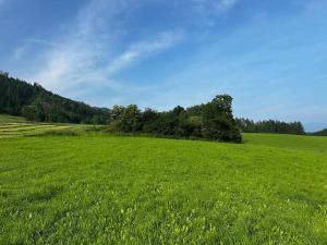 Tinyhome Murtal -SlowCamping