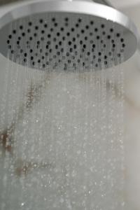 Alexandros mini suites