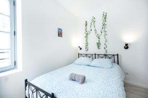 Charming Cosy Studio in Beziers town centre