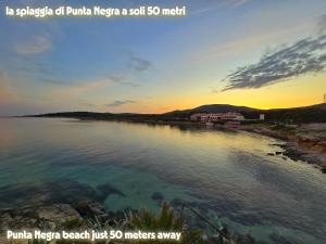 Festa d'Estate img16