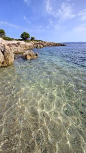 Festa d'Estate img17