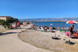 Apartments by the sea Vir - 24608
