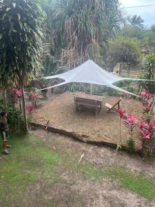 Casa Amare Bolivar Zapotal Island 14pax 7hab