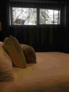 Konayuki Apartment 7