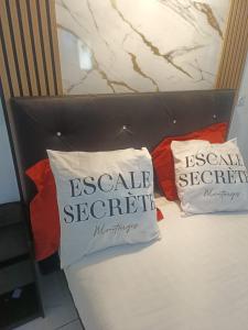 Escale secrète Montargis Jacuzzi Terrasse Parking gratuit