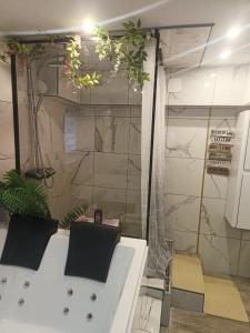 Appartements Escale secrete Montargis Jacuzzi Terrasse Parking gratuit : photos des chambres