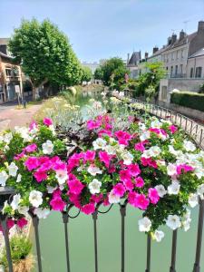 Appartements Escale secrete Montargis Jacuzzi Terrasse Parking gratuit : photos des chambres