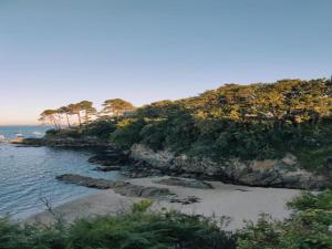 Appartements Beachside Bliss in Brittany : photos des chambres
