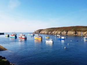 Appartements Brittany Coast Getaway : photos des chambres