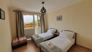 Loasis dAgadir - Agadirs hidden Oasis