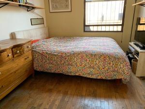 Airy brownstone penthouse duplex near Central Park