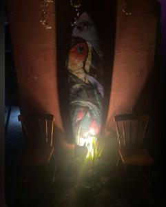 WATERMAN Surf Camp Hospedagem e Escola de Surf, Kitesurf, SUP em Florianópolis