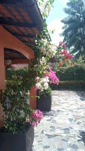 Rent HOUSE CHALET COP 30