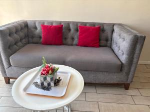 Hermoso Apartamento en la Capital de Chile