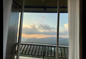 The will glamping&camping