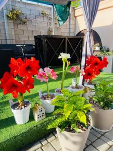 Готель Лаванда на Ривьере, Баня, Карпатский Чан, Пианино,Караоке,Укрытие, Фонтанка 1 ,Одесса